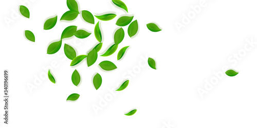 Falling green leaves. Fresh tea neat leaves flying