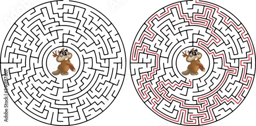 Funny labyrinth. Help the beaver to get out of the maze. Illustration with tangled lines. Cartoon beaver character. Isolated on white background.