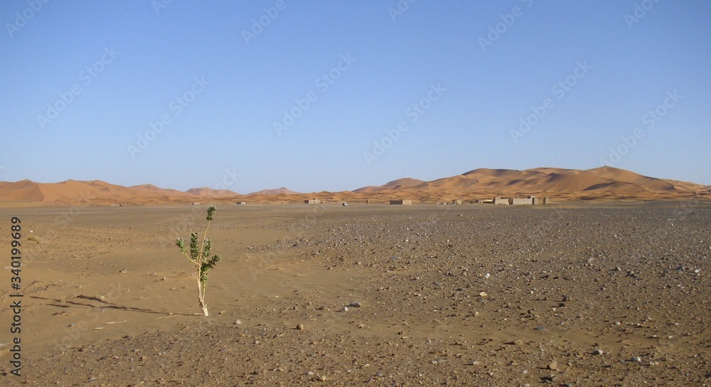 desert wasteland sand dune sahara desert wasteland sand dune sahara