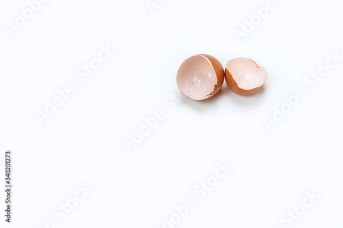 Single egg shell