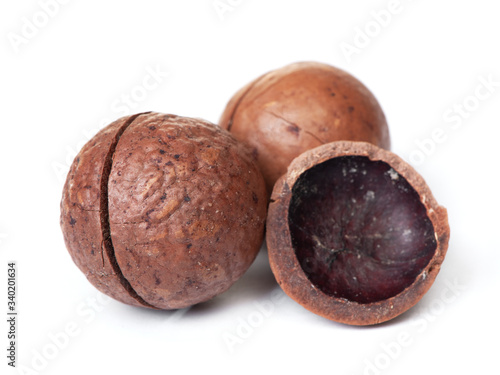 Heap of macadamia nut in shell photo