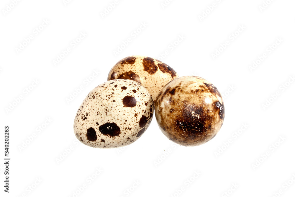 egg isolated on white background egg isolated on white background