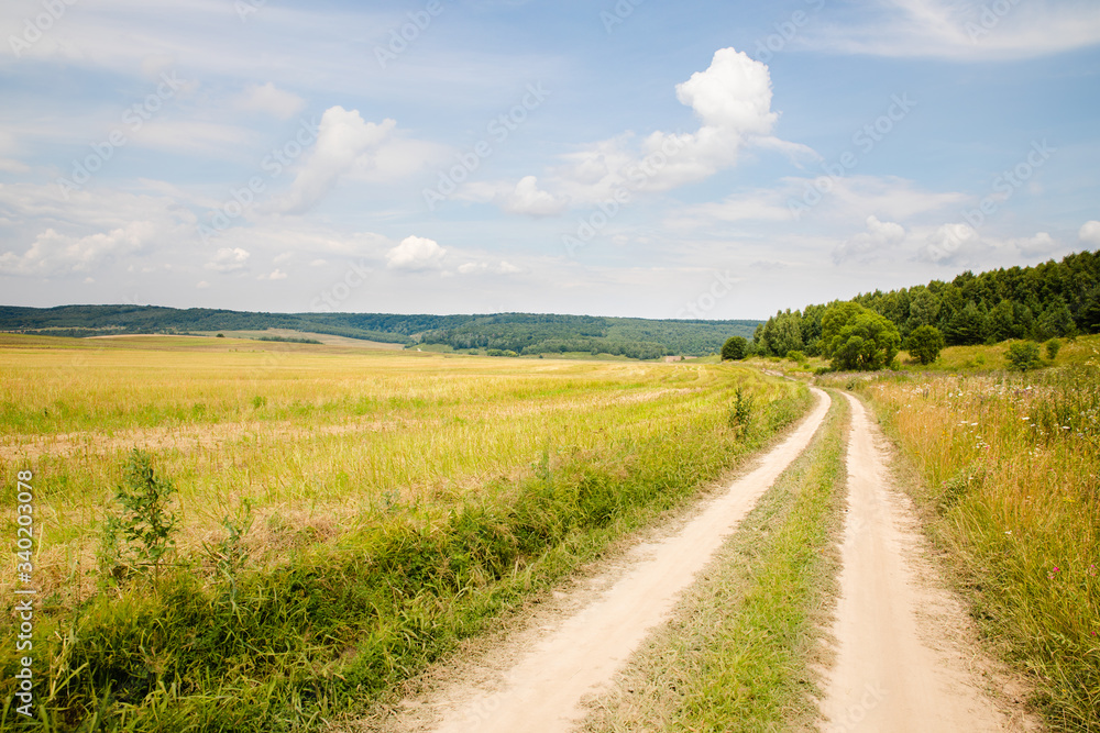 Fototapeta premium Scenic path in green summer field with blue sky background