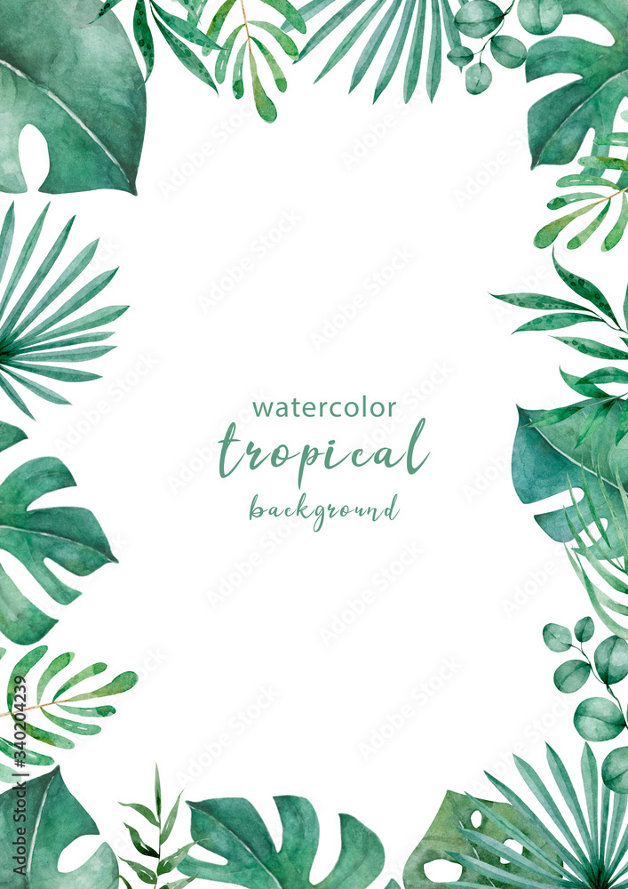 Jungle plam and leaves of tropical plants. Green rectangle horizontal floral frame with liana branches. Hand drawn watercolor exotic illustration. Space for text.