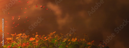 Foto butterflies hovering above plants