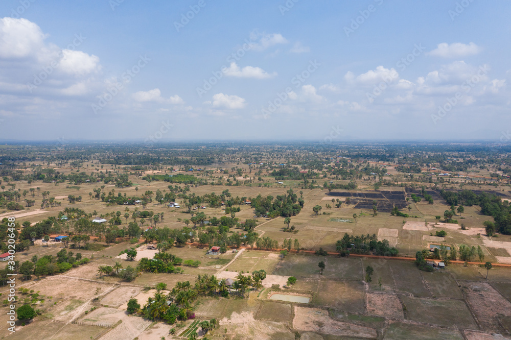 Landscape of the ricefields and rice terrace , egallalang near Kampot in Cambodia in southeastasia . Aerial drone view.