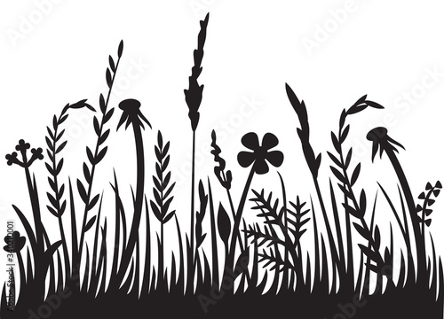 Grass silhouette vector illustration design (flowers and plants).