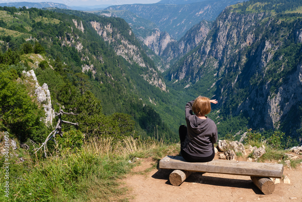Summer Tara Canyon in mountain Durmitor National Park, Montenegro.