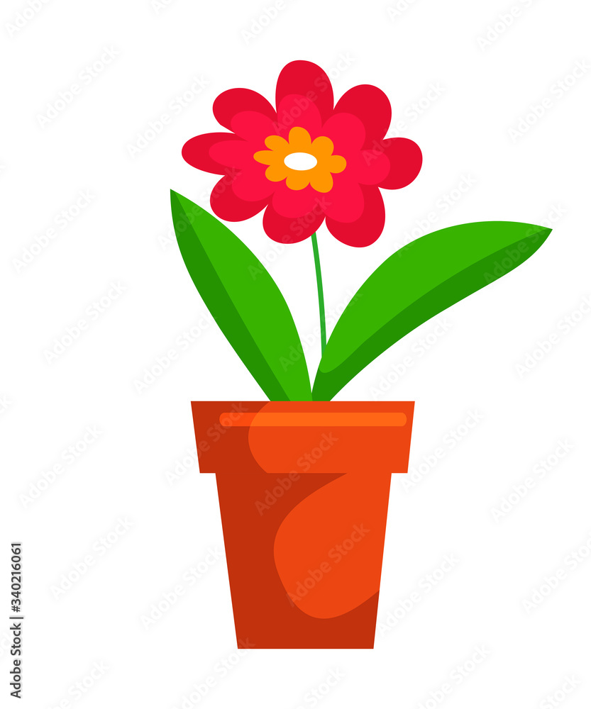 Potted blossom flower bud isolated on white space Potted blossom flower bud isolated on white space
