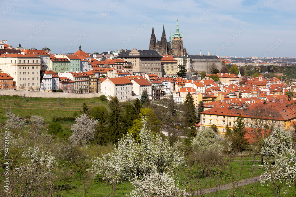 Obraz premium Spring Prague City with gothic Castle and the green Nature and flowering Trees from the Hill Petrin, Czech Republic