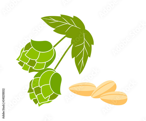 Hop cones and malt flat vector illustration
