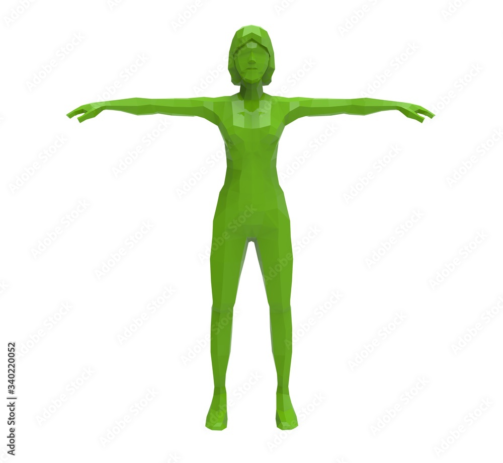 3d illustration of the low poly woman
3d illustration of the low poly woman