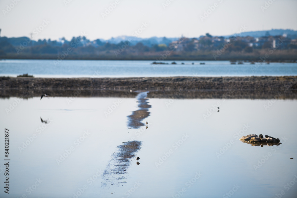 The magnificent Salinas de Santa Pola Natural Park. Province of Alicante. Spain The magnificent Salinas de Santa Pola Natural Park. Province of Alicante. Spain