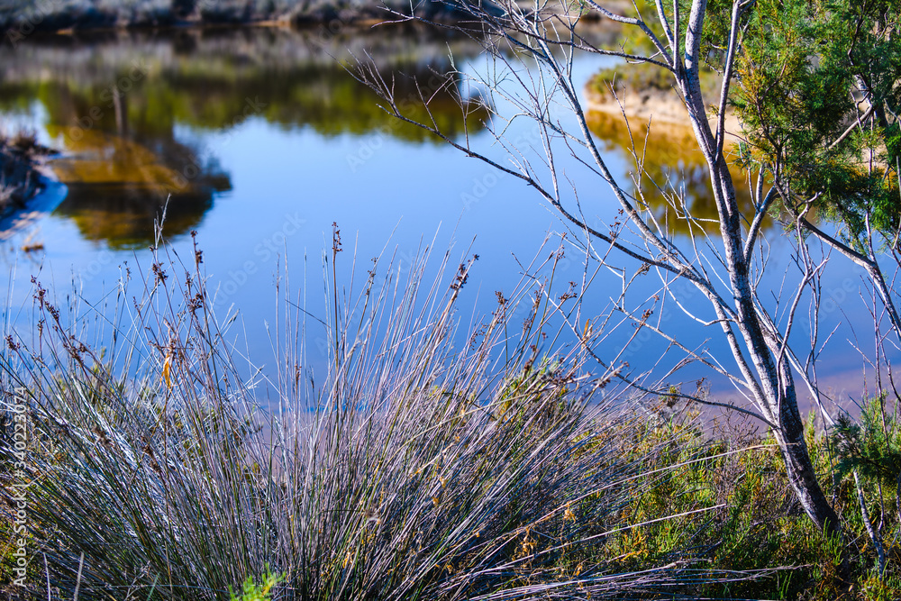 Stunning natural park near Guardamar del Segura. Province of Alicante. Spain