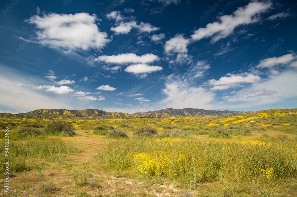 Carrizo Plain Carrizo Plain