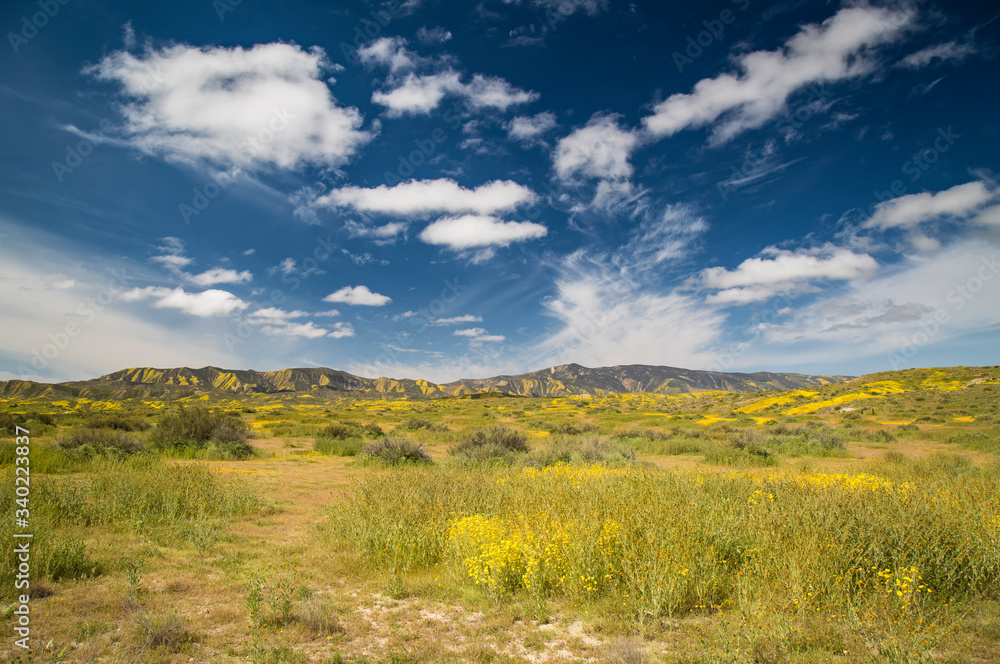 Carrizo Plain