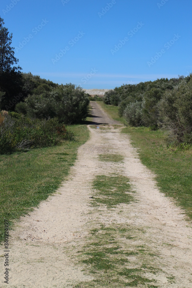 road in the countryside