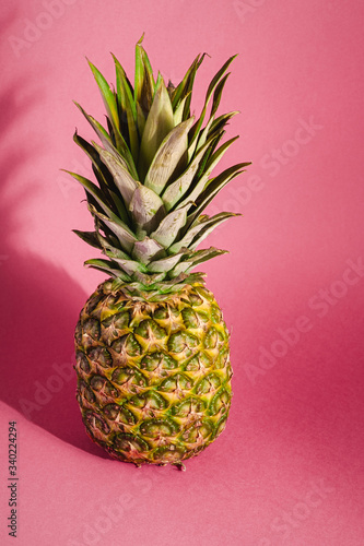Fresh sweet pineapple on pink red background with hard shadow, angle view copy space