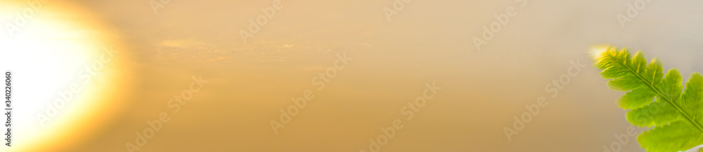 Obraz premium Closeup nature view of green leaf on blurred green and yellow background in garden with copy space for text using as web banners, natural green plants landscape, ecology, fresh cover page concept.