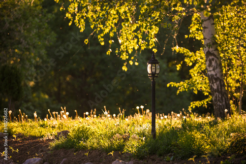 Fototapeta Naklejka Na Ścianę i Meble -  Lantern in the Park on the grass along the path for Hiking. The retro style lantern is illuminated by the bright sun in the greenery