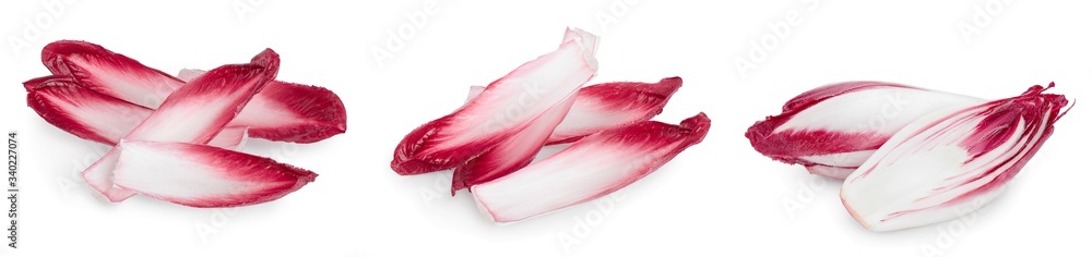 red chicory or radicchio isolated on white background, Set or collection red chicory or radicchio isolated on white background, Set or collection