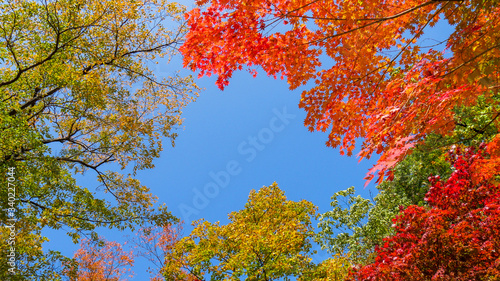 Autumn scenes in Seoraksan-ro Seorak National Park, Sokcho, Gangwon-do South Korea Sokcho-si, Gangwon-do, South Korea