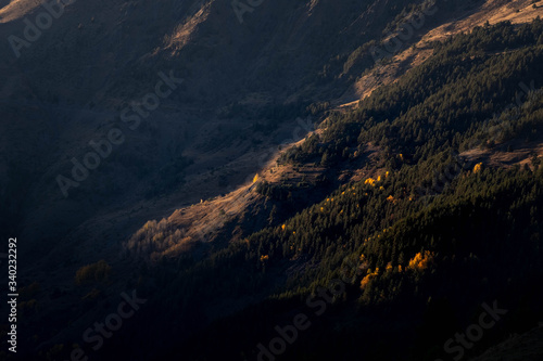 A forest on a mountainside is lit by the setting sun in the Tusheti region.