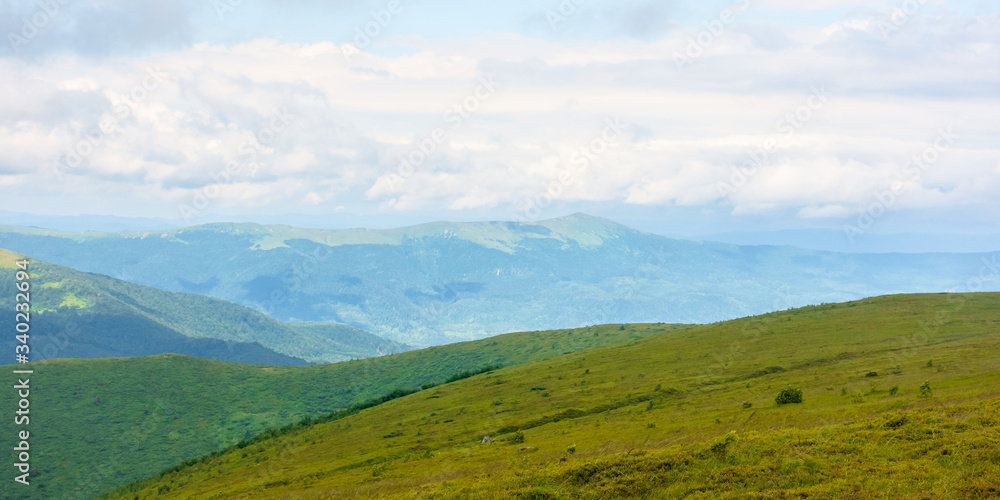 alpine scenery of carpathian mountains. stunning views on a windy summer day. clouds on the sky. ridges and valleys in the distance alpine scenery of carpathian mountains. stunning views on a windy summer day. clouds on the sky. ridges and valleys in the distance