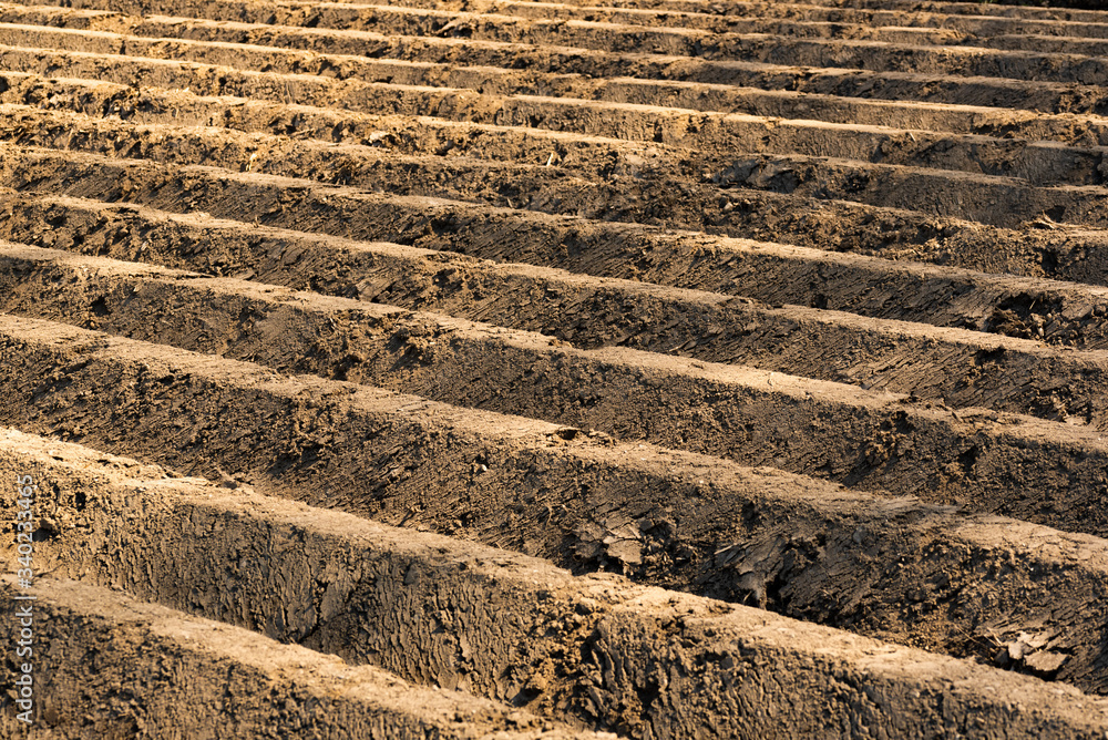 Furrows row pattern in a plowed field prepared for planting crops in spring. Furrows row pattern in a plowed field prepared for planting crops in spring.