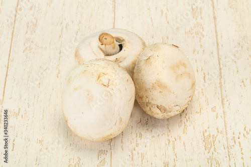 Raw Champignon heap for cooking
