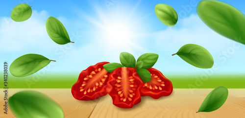 Sun dried tomatoes with basil on wooden tabletop. Sunny background with green field, flying leaves of marjoram and blue sky. Realistic vector illustration.