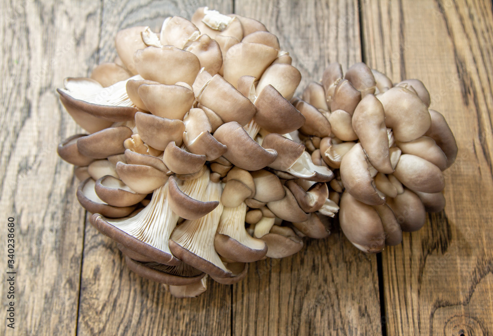 Bunch of brown fresh raw oyster mushrooms on wooden table Bunch of brown fresh raw oyster mushrooms on wooden table