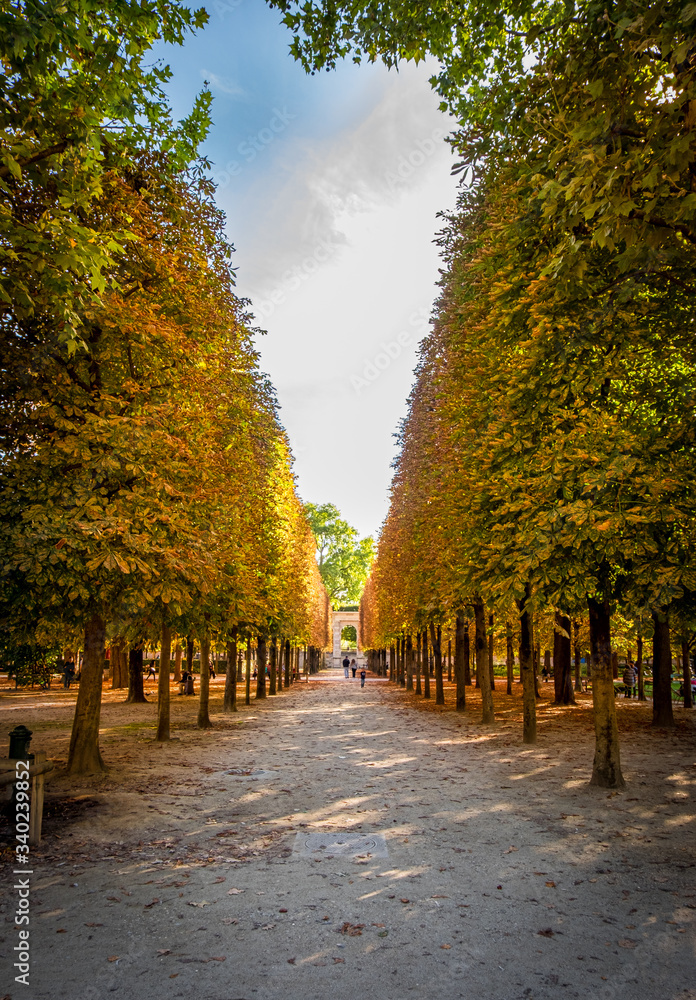 Naklejka premium Jardin des Tuileries in Paris, France.