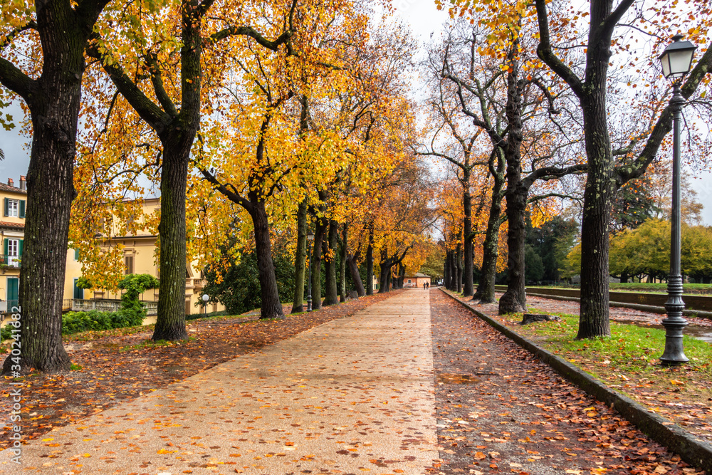 The scenic waking path on Lucca city walls during autumn season, Tuscany, Italy