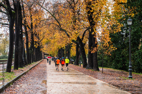 A beautiful autumn landscape of the promenade on the walls encircling the old town of Luca, Tuscany, Italy