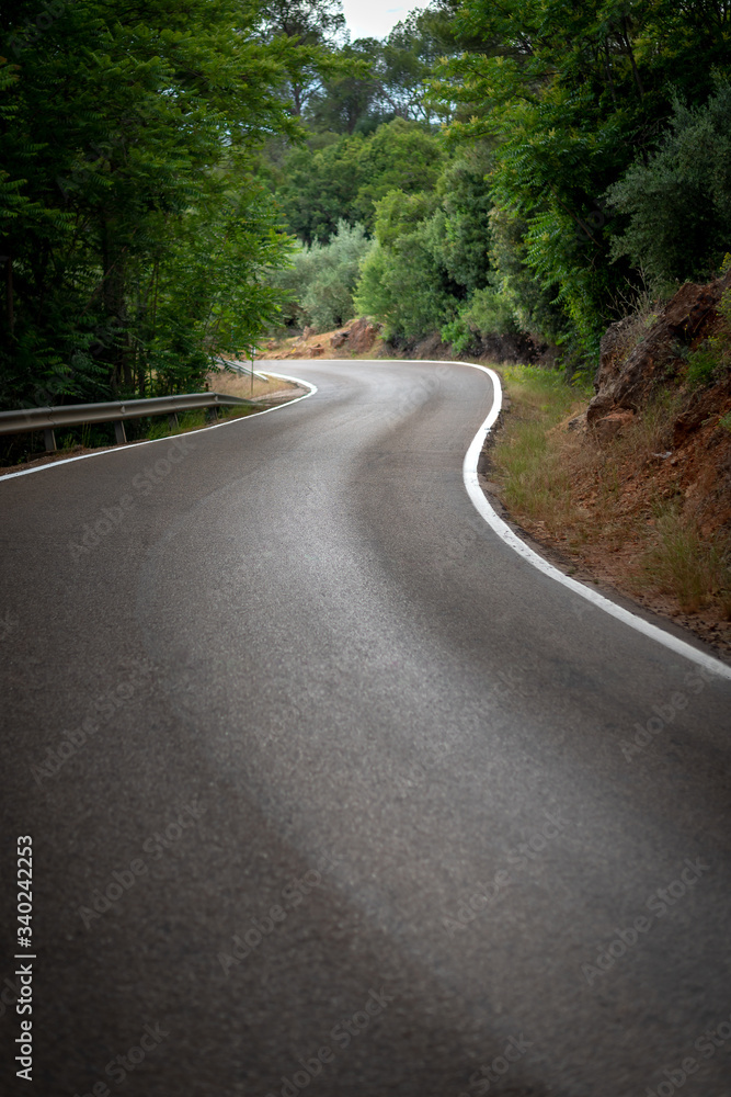 Vertical color image with a front view of a curved road in the forest with white lines