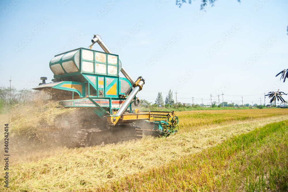 Fototapeta premium combine harvester working on a field