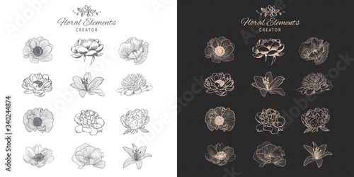 Hand drawn floral elements creator: roses, peony, poppy.