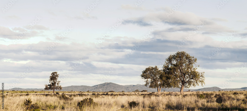 Australijski krajobraz