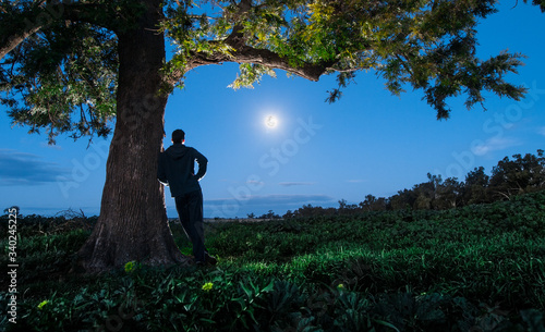Nocny spacer na australijskiej wsi przy świetle księżyca
