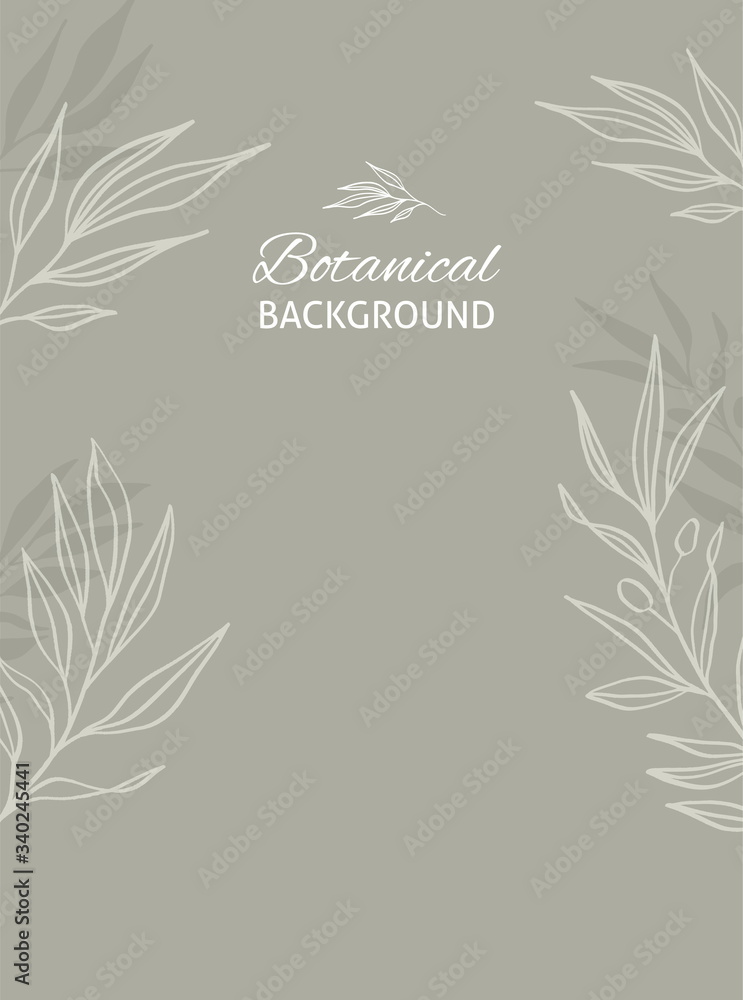 Botanical background with olive leaves. Botanical background with olive leaves.