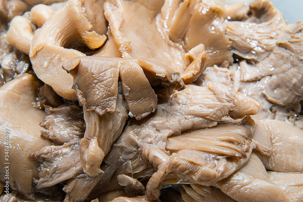 Marinated oyster mushrooms on a bowl Marinated oyster mushrooms on a bowl
