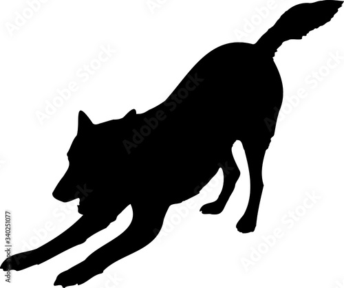 Silhouette of a downward facing dog