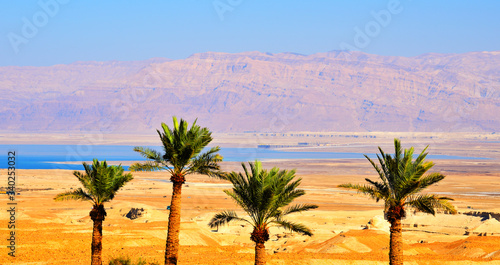 Judean Desert Landscape near the Dead Sea, Israel photo