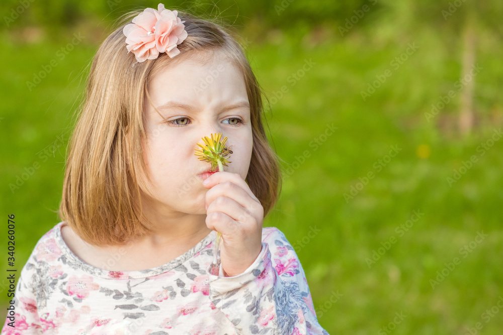 Beautiful blond little girl sniffs yellow dandelion and gets a dose of seasonal allergies Beautiful blond little girl sniffs yellow dandelion and gets a dose of seasonal allergies