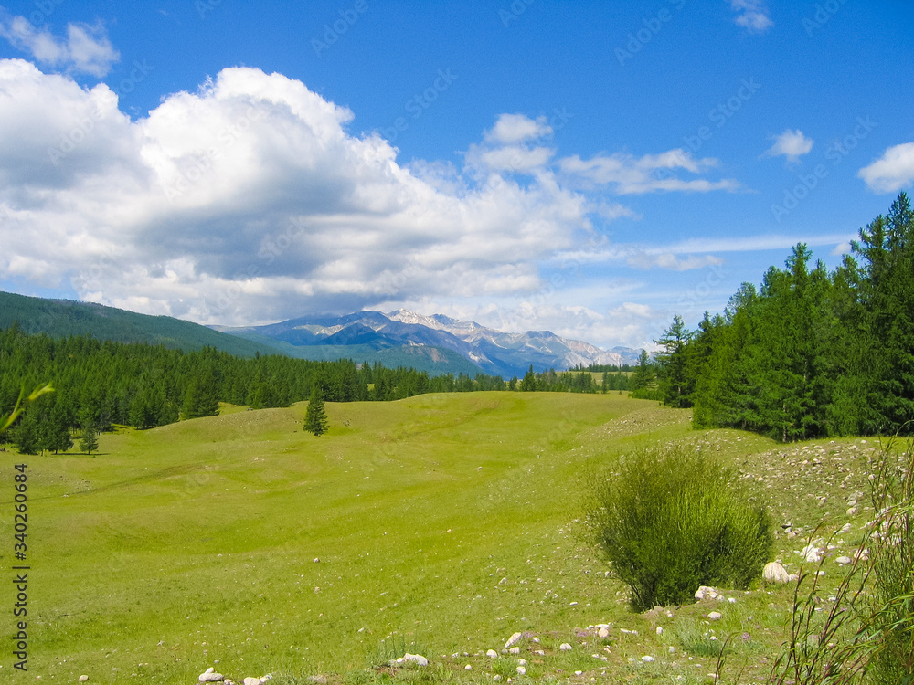 A wonderful green meadow covered with fresh grass, against the backdrop of majestic mountains and a blue sky with clouds A wonderful green meadow covered with fresh grass, against the backdrop of majestic mountains and a blue sky with clouds