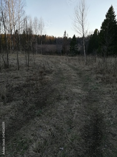 rural trail in early spring 