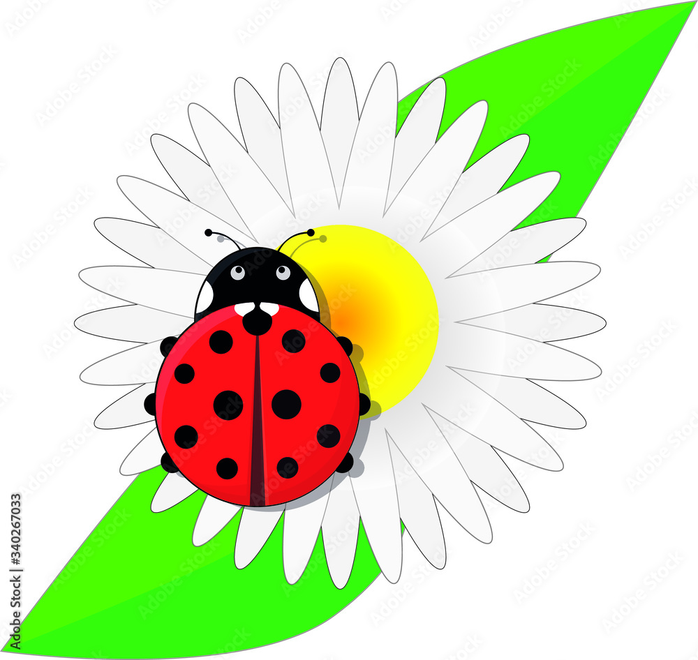 Naklejka premium Ladybug on a daisy flower.