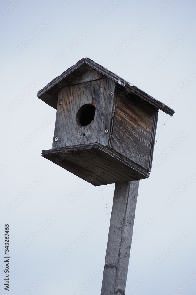 ことりの巣箱　small birdhouse on a hill