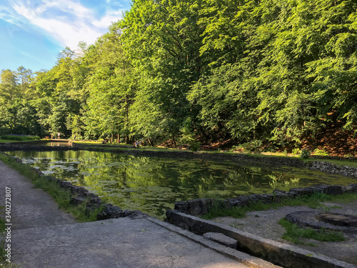 Pond in the park Pogulianka